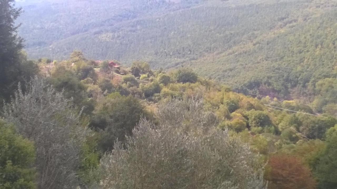 סנטה פיורה Podere Di Maggio - Casa Della Nonna מראה חיצוני תמונה